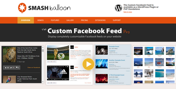 Custom Facebook Feed Pro
